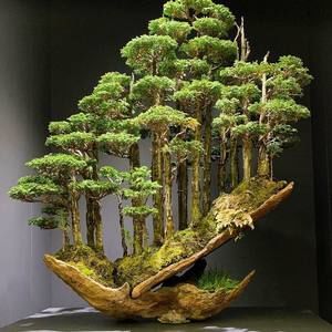 Meet your Posher, Joshua